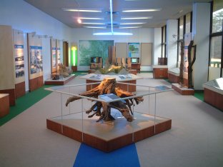 展示イメージ:愛知県森林公園 展示館