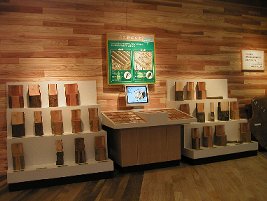 展示イメージ:青森県青少年の森・森林学習展示館