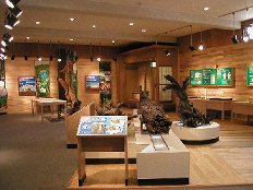 展示イメージ:青森県青少年の森・森林学習展示館