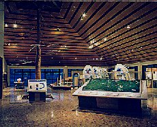 展示イメージ:千葉県内浦山県民の森総合センター