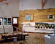 展示イメージ:新居浜市市民の森・管理学習館