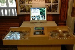 展示イメージ:愛媛県えひめ森林公園・森林学習展示館