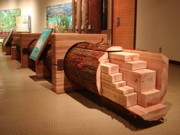 展示イメージ:福井県・人と森とのふれあい会館