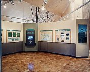展示イメージ:北海道立林業試験場・緑の情報館