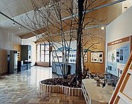 展示イメージ:北海道立林業試験場・緑の情報館