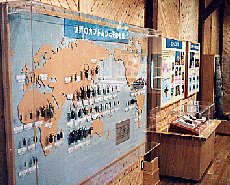 展示イメージ:市川町リフレッシュパーク・かぶとくわがたわくわく館