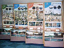 展示イメージ:高萩市森林公園・たかはぎグリーンミュージアム