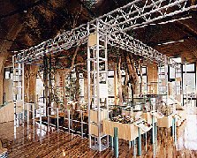 展示イメージ：鹿児島県照葉樹の森・稲尾岳ビジターセンター