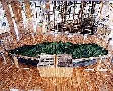 展示イメージ：鹿児島県照葉樹の森・稲尾岳ビジターセンター