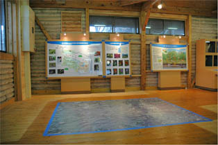 展示イメージ:熊本県阿蘇みんなの森・森林学習展示館