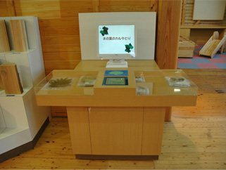 展示イメージ:熊本県阿蘇みんなの森・森林学習展示館