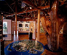 展示イメージ：京都府民の森ひよし・森の資料館