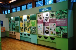 展示イメージ：宮城県こもれびの森・森林科学館