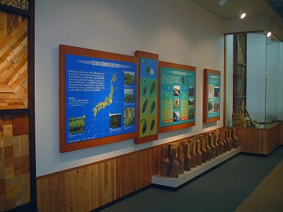 展示イメージ:大分県 県民の森 森林学習展示館