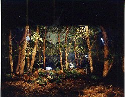 展示イメージ:沖縄県県民の森・森林科学館