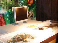 展示イメージ:さが21世紀県民の森・森林学習展示館
