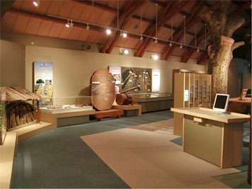展示イメージ：静岡県昭和の森会館内・森の情報館