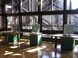 展示イメージ:檜原都民の森・森林館