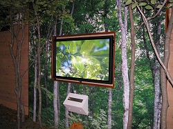 展示イメージ：天童市森林情報館 もり～な天童
