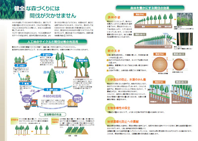 pf_kanbatsu10_1.jpg