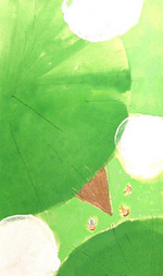 拡大してみる