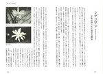 拡大してみる