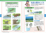 拡大してみる