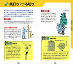 拡大してみる