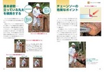 拡大してみる