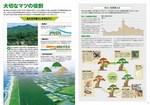 拡大してみる
