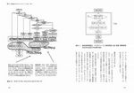 拡大してみる