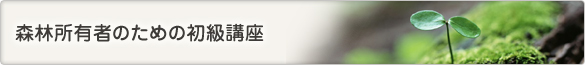 森林所有者のための初級講座