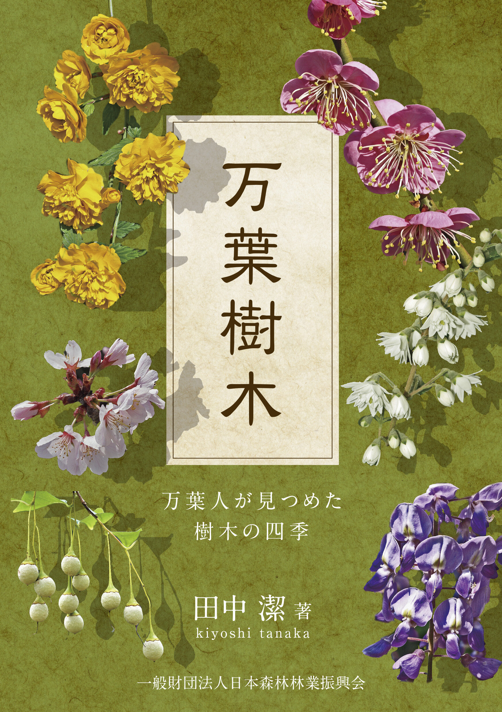 万葉樹木 万葉人が見つめた樹木の四季