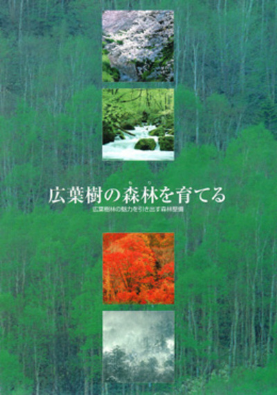広葉樹の森林を育てる　-広葉樹林の魅力を引き出す森林の整備-