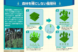 フォレストリーサイン　６．森林を裸にしない複層林				
