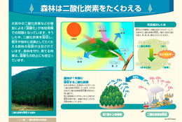 フォレストリーサイン　	９．森林は二酸化炭素をたくわえる					