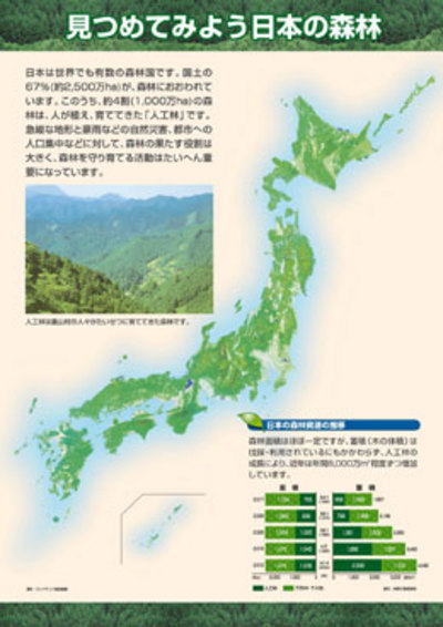 見つめてみよう日本の森林シリーズ　1.見つめてみよう日本の森林