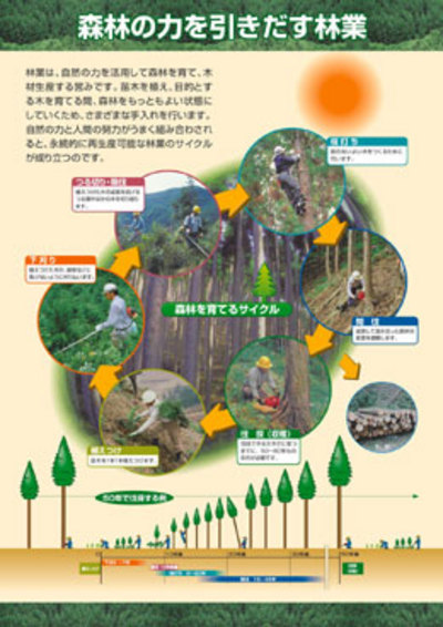 見つめてみよう日本の森林シリーズ　4.森林の力を引きだす林業