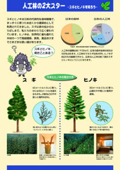 森林・林業教育シリーズ　２．人工林の２大スター―スギとヒノキを知ろう―