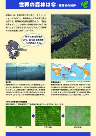 森林・林業教育シリーズ　７．世界の森林は今