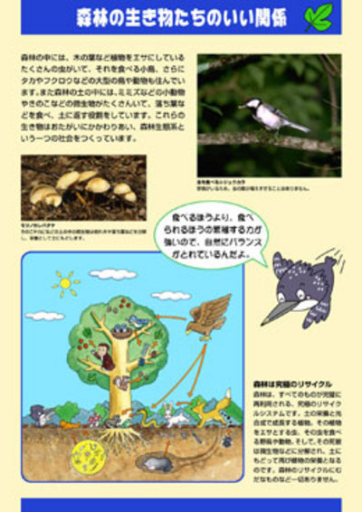 森林・林業教育シリーズ　８．森林の生き物たちのいい関係