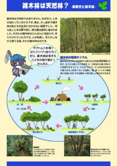 森林・林業教育シリーズ　16．雑木林は天然林？