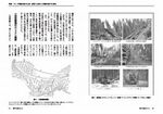 拡大してみる