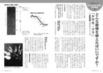 拡大してみる