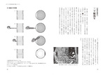 拡大してみる