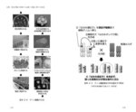 拡大してみる