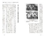 拡大してみる