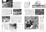拡大してみる