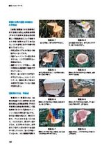 拡大してみる