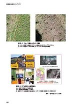 拡大してみる
